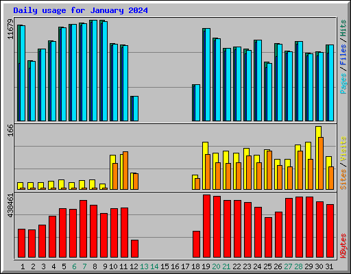 Daily usage for January 2024