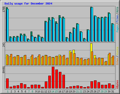Daily usage for December 2024