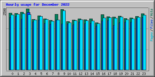 Hourly usage for December 2022