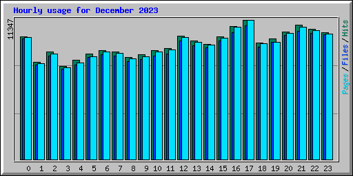 Hourly usage for December 2023