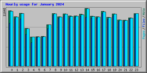 Hourly usage for January 2024