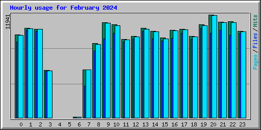 Hourly usage for February 2024