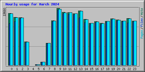 Hourly usage for March 2024