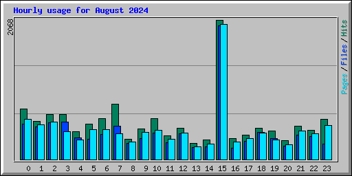 Hourly usage for August 2024