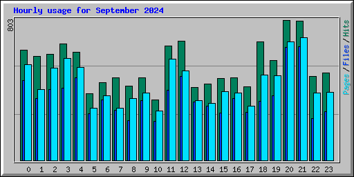 Hourly usage for September 2024