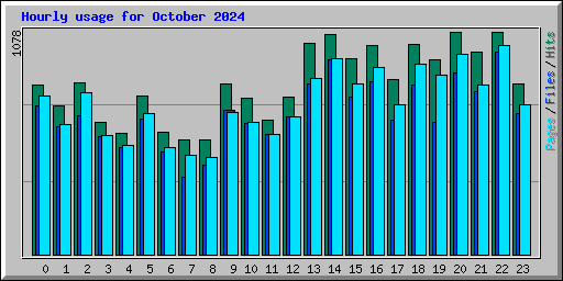 Hourly usage for October 2024