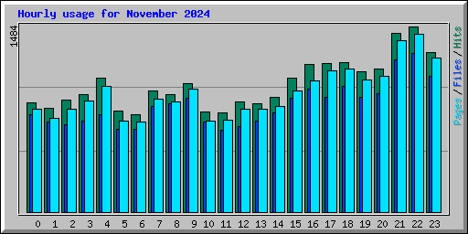 Hourly usage for November 2024