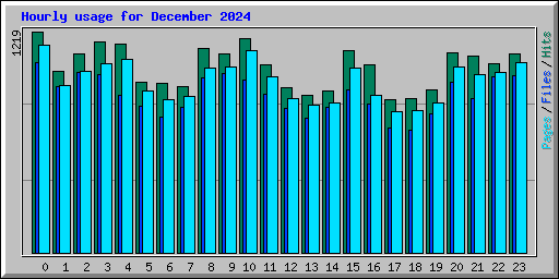 Hourly usage for December 2024
