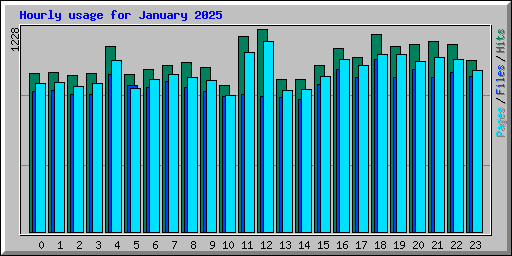 Hourly usage for January 2025