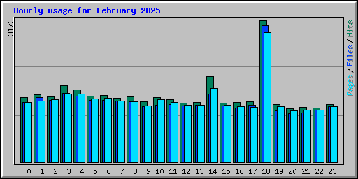 Hourly usage for February 2025