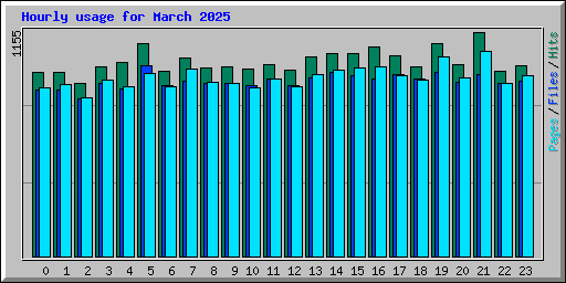 Hourly usage for March 2025