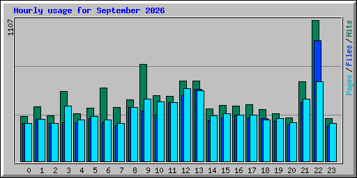 Hourly usage for September 2026